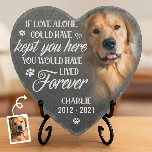 Custom Photo Heart Shaped Memorial Stone - Personalized Pet Memorial Sympathy Gifts For Dogs, Cats, Loss Of Dog - You Would Have Lived Forever